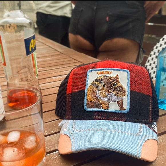 ⭐️NIB Limited Edition Goorin Brothers “Cheeky” Chipmunk Trucker Hat - Picture 1 of 8